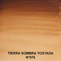 Acuarela Winsor&Newton Profesional 1/2 Godet Tierra de Sombra Tostada nº076